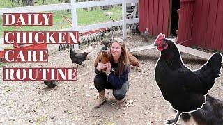DAILY CHICKEN CARE ROUTINE | Raising Backyard Poultry | Hobby Farm Homestead | Egg Laying Hens