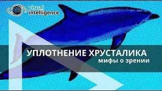 С годами хрусталик уплотняется, но вредит ли это глазам и мозгу?