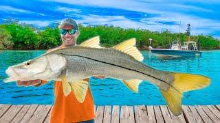 40 Years of Snook Fishing In 54 Minutes (Mullet Run 2024)