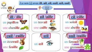 Le son [j] avec ill, ail, eil, euil, œil, ouil au CP