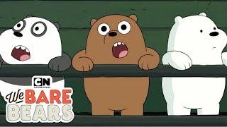 We Bare Bears | Cute Baby Bears Compilation (Hindi) | Cartoon Network