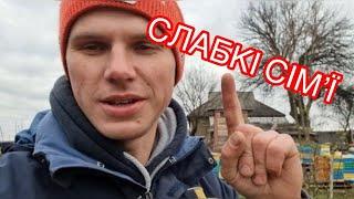 Слабкі сімї в зиму ? Що робити?