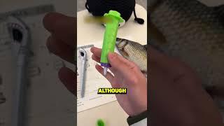 These Weird Pens Went Viral in China!