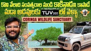 Coringa Wildlife Sanctuary Kakinada || Mangrove Forest Of Andhra Pradesh  || Telugu Travel Vlogger