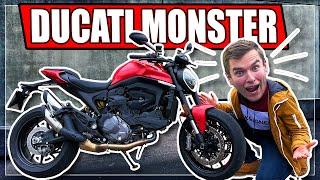 DUCATI MONSTER 2021 MOTORRAD TEST