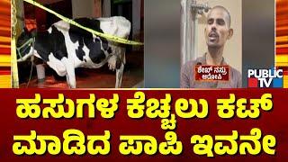 Chamarajpet Cows Case: Police Arrest Sheikh Nasru; Conduct Spot Inquest