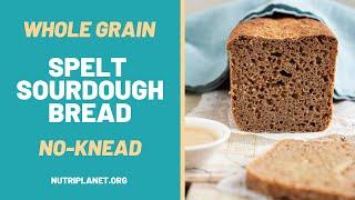 Whole Grain Spelt Sourdough Bread Recipe [No-Knead, No-Yeast, Fast]