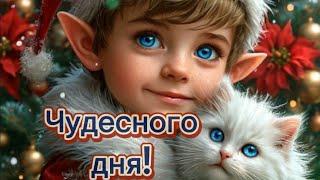 Чудесного дня! #пожеланияблизким #пожелания #хорошегодня