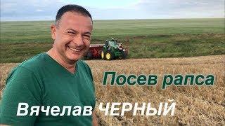 Посев рапса на полях Вячеслава Черного