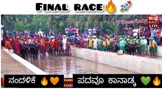 Nandalike V/S Padavu kanadka  Final race in Mulki arasu kambala 