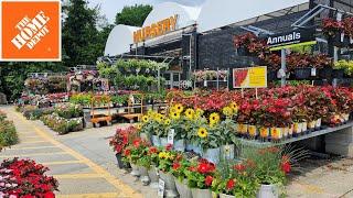 Home Depot 50% off Clearance 4th of July Sale! Hydrangeas, Roses, Trees & Shrubs! Home Depot Plants