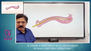 What is missing in the Classification of Urethral Stricture