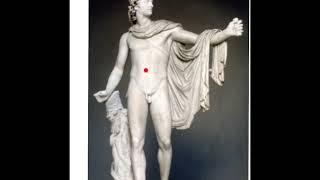 Apollon Belvedere - Skulpturfremlæggelse