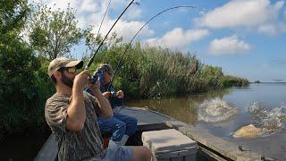 Catching GIANTS from Our Favorite Honey Hole (CATCH AND COOK)