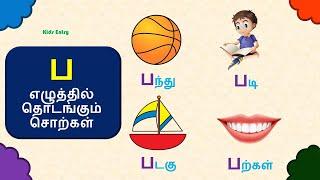 ப எழுத்தில் தொடங்கும் சொற்கள் |ப எழுத்து சொற்கள் படங்கள் |pa eluthil thodakum sorkal