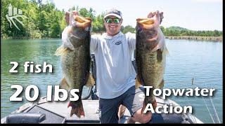 Major League Fishing VS Seek One: Unreal TOPWATER Choppo action with Justin Lucas and Justin Atkins