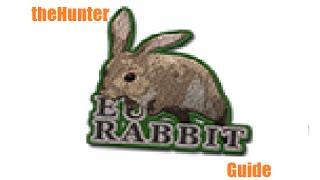European Rabbit Hunting Guide