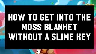 How to enter the Moss Blankets without a slime key