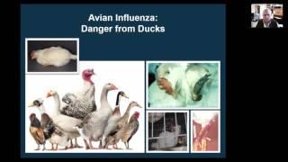 Livestock Diseases and Prevention