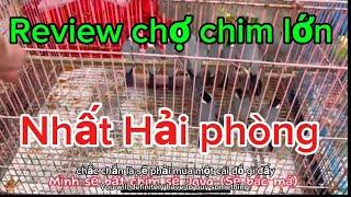 Review chợ chim lớn nhất Hải phòng