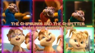 The Chipmunks and The Chipettes - Shake your groove thing