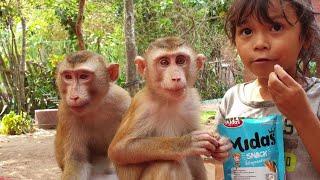 Lovely Koko and Yoko enjoy eating snack with sister Sreye /Koko&Yoko Official