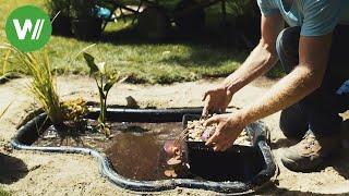 Miniteich - es muss nicht immer ein großer Gartenteich sein!