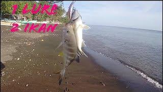 SADIS 1 LURE, 2 IKAN |MANCING MANIA BALI UTARA