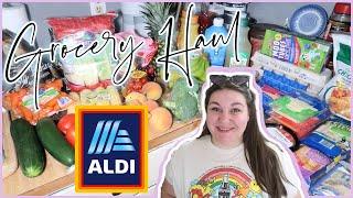 I WENT OVER BUDGET! 1-Week Grocery Haul & Meal Plan | ALDI HAUL | July 2024
