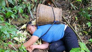 How to harvest and process bamboo shoots (măng nứa) |Chúc Thị Xuân