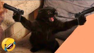 Funniest Animals  New Funny Cats and Dogs Videos  - Ep.8