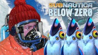 I LOVE THE PENGLINGS!! I Subnautica Below Zero Episode 1