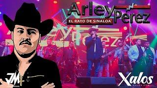 Arley Perez - Xalos Concierto (En Vivo)