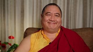 Rabjam Rinpoche: The Shechen School