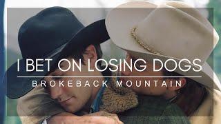 Brokeback mountain - I bet on losing dogs