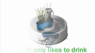 Drinkwell 360 Fountain Product Review