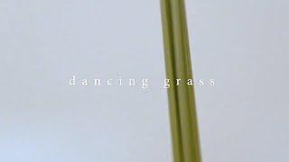 Dancing Grass | Building a DanceBot with Ableton Live