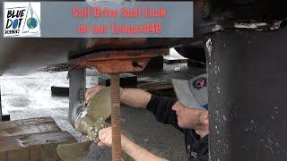 Sail Drive Seal Leak on our Leopard48 - Fishing Line around Prop Disaster - Feb2021