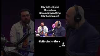 BSV is the Global Blockchain - Bitcoin is EVERYTHING - it is the Internet - Kurt Wuckert Junior