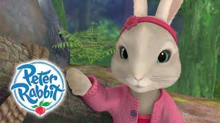 Peter Rabbit -  Lily Is a Genius | Cartoons for Kids