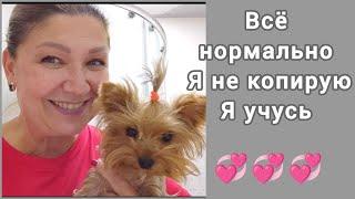 реакция на комментарий #жизнь50+