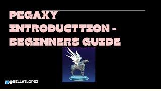 Pegaxy Introduction- Beginners Guide