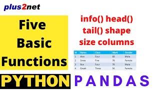 Five important basic Pandas DataFrame functions info(), head(), tail(), shape,size,ndim, columns