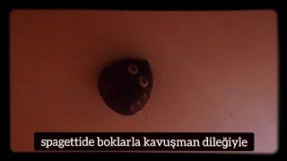 bokun yanlış(?) tarafı | egzistansiyalizm