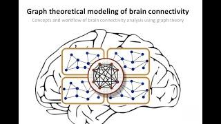 Introduction to Brain Network Analysis - Part 1/2.