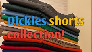 DICKIES SHORTS COLLECTION • 17 PAIRS!