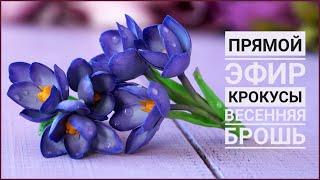 КРОКУСЫ   ВЕСЕННИЕ БРОШКИ  ПРЯМОЙ ЭФИР