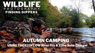 WILDLIFE PHOTOGRAPHY | Land Rover Camping | DIPPER Recce on Exmoor National Park | Ecoflow River Pro