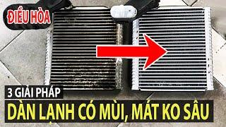 Điều hòa có mùi và kém mát - 3 giải pháp vệ sinh dàn lạnh ai có ô tô cũng nên biết | TIPCAR TV