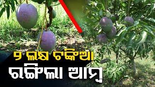 Odisha farmer grows mangoes, scripts success with good profit